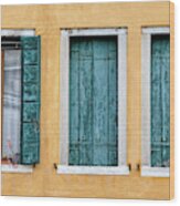 Three Green Windows Of Venice Wood Print