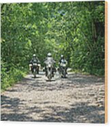 Three Men Riding Motorbikes Along Wood Print