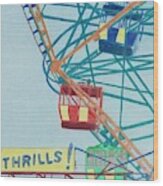 Thrills Wood Print