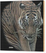 Tiger 6 Wood Print