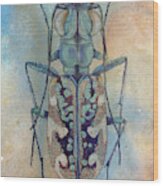 Tiger Beetle Wood Print