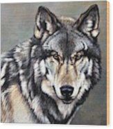 Timber Wolf By Alan M Hunt Wood Print