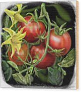 Tomato Plant Wood Print