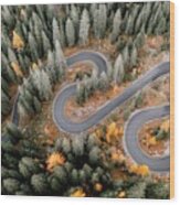 Top Aerial View Of Famous Snake Road Wood Print