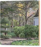 Topiary In Colonial Williamsburg Wood Print