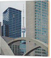 Toronto Tower View Wood Print