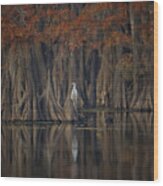 Tranquil Lake Wood Print