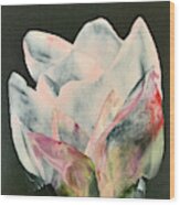 Transparent Tulip Wood Print