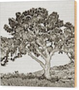 Tree Of Life Sketch Wood Print