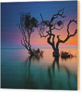 Trees In Bay At Sunset Wood Print