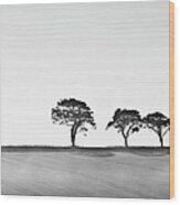 Trees On Skyline, Devon, Uk Wood Print