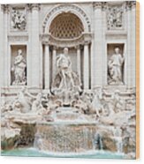 Trevis Fountain In Rome Italy Wood Print