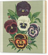 Tricolor Pansies I Wood Print