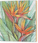 Tropical Botanical Paradise Ii Wood Print