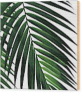 Tropical Green Palm Leaf #1 #botanical #decor #art Photograph by Anitas ...