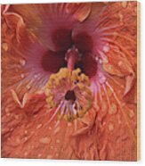 Tropical Hibiscus Wood Print