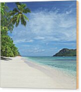 Tropical Island Beach Scene With Palm Wood Print