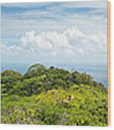 Tropical Island Super Panorama Lush Wood Print