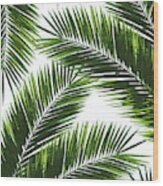 Tropical Palm Leaf Pattern 1 - Tropical Wall Art - Summer Vibes - Modern, Minimal - Green Wood Print