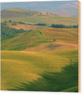 Tuscan Vertical Distant Hill Castle Wood Print