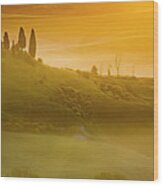 Tuscany In Gold Wood Print