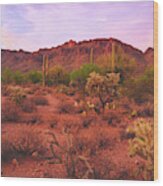 Twilight Glow On The Tucson Mountains And Sonoran Desert, Arizona Wood Print