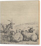 Two Goats And Three Sheep Wood Print