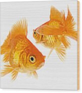 Two Goldfish Crossing Each Other Wood Print