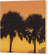Two Palm Sunset Wood Print
