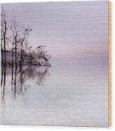 Ullswater Mist At Sunrise Wood Print