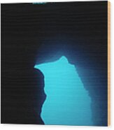 Underwater Cave Wood Print