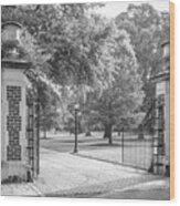 University Of South Carolina Horseshoe Gate Wood Print