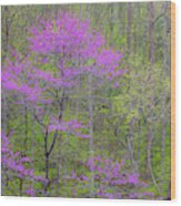 Usa, Tennessee Reflections Wood Print