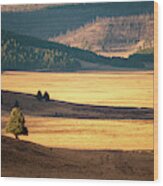 Valles Caldera Detail Wood Print