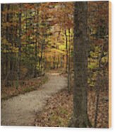 Vertical Trail Wood Print