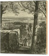 View Of Augusta Wood Print