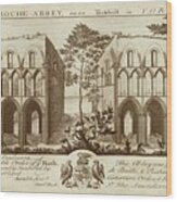 View Of Roche-abbey Wood Print