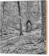 View Of The Poinsett Bridge Wood Print