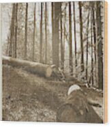 Vintage Forest Hillside Wood Print