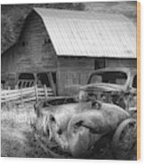 Vintage In The Pasture Black And White Wood Print