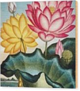 Vintage Water Lily Artwork Wood Print