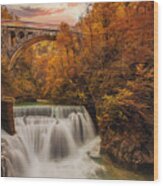 Vintgar Gorge Waterfall Wood Print