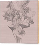 Viola Cucullate Blush Pink Flower Wood Print