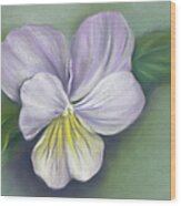 Viola Purple And Yellow Wood Print