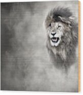Vulnerable African Lion In The Dust Wood Print