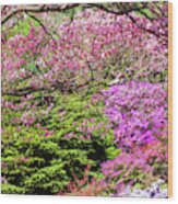 Walk In Spring Eden. Pink Branch Wood Print