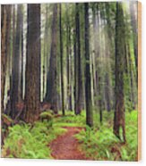 Walk In The Woods Wood Print