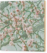 Wallpaper With Cherry Blossom Branch In Japanese Garden In Sprin Wood Print