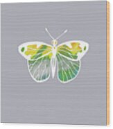Watercolor Butterfly On Gray Vi Wood Print