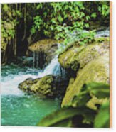 Waterfalls In Jamaica Img 6069 Wood Print